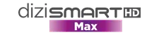 Dizismart Max logo