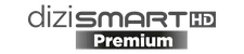 Dizismart Premium logo