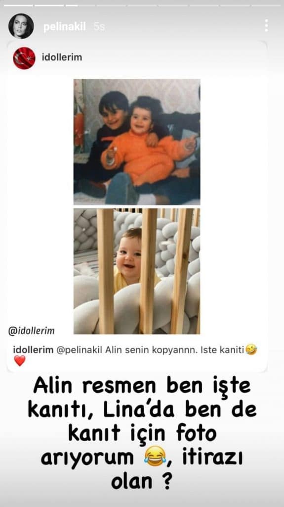 Pelin Akil story